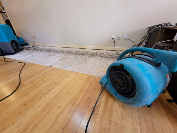 Professional Sewage Cleanup technician working in Buhl, AL
